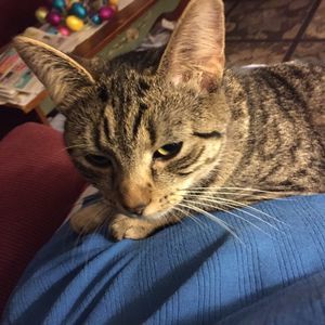 Meet your Posher, Diane